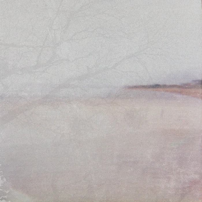 Morning Mist and Pine Trees