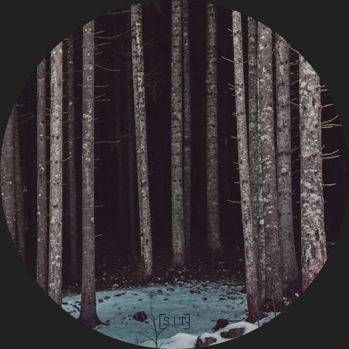 Cyd - Inclusion Polymorphism (ST013)
