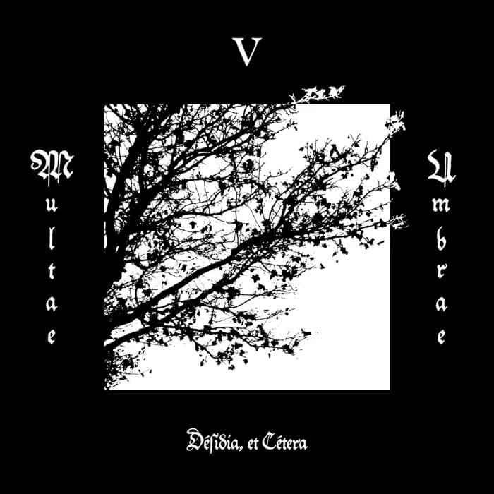 Multae Umbrae V: Désidia, et Cétera