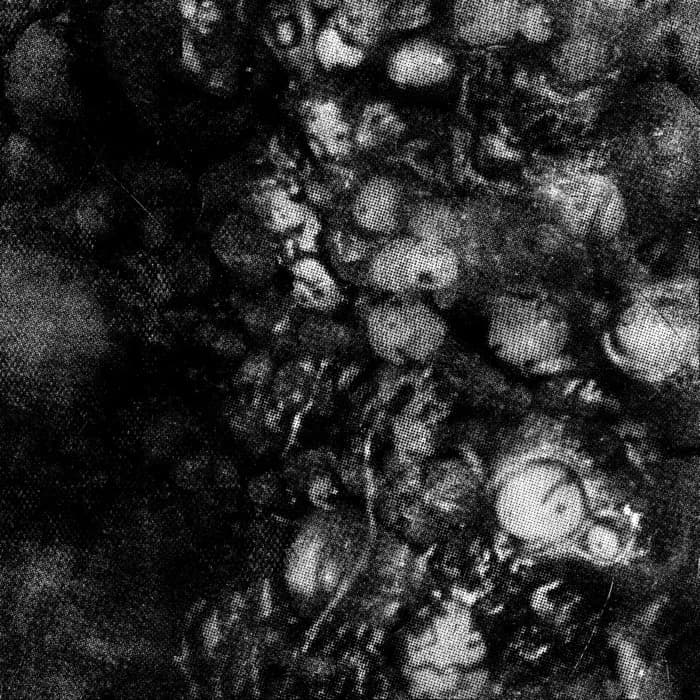 VISCERAL EXHAUST