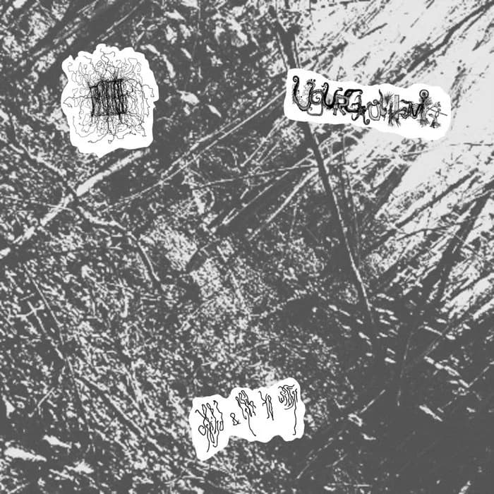 defiled & left to wither