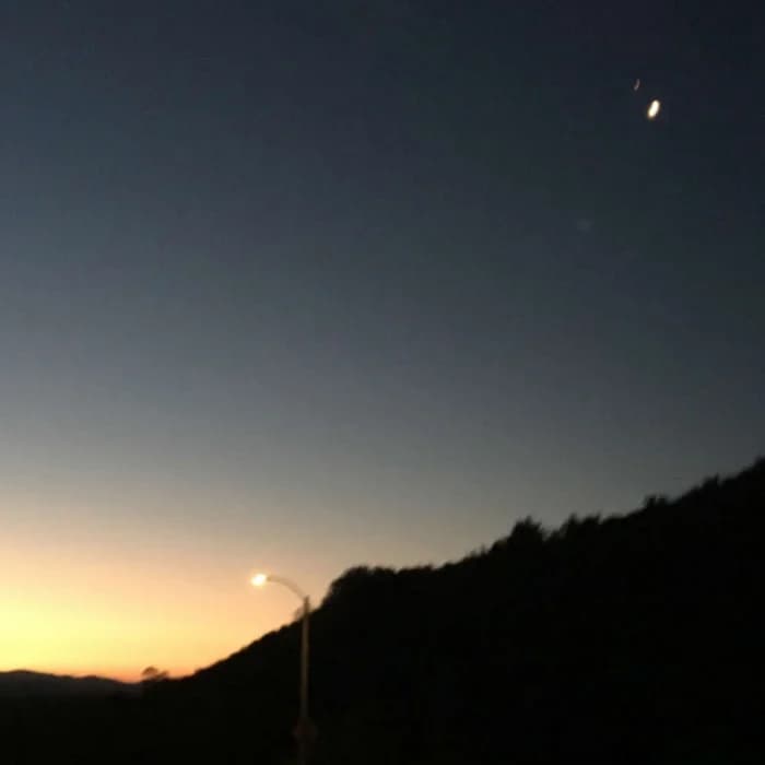 忘れられた夢