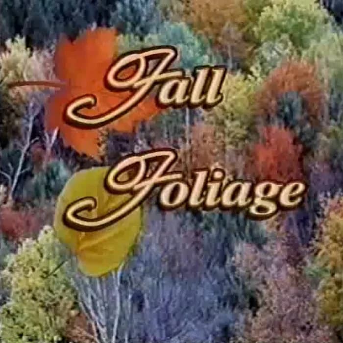 Fall Foliage
