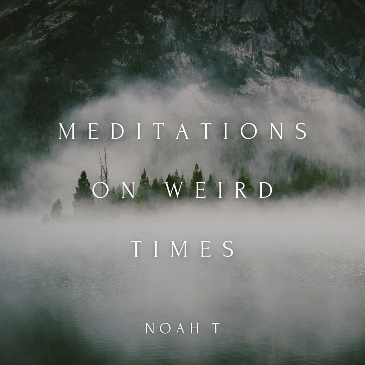 Meditations on Weird Times