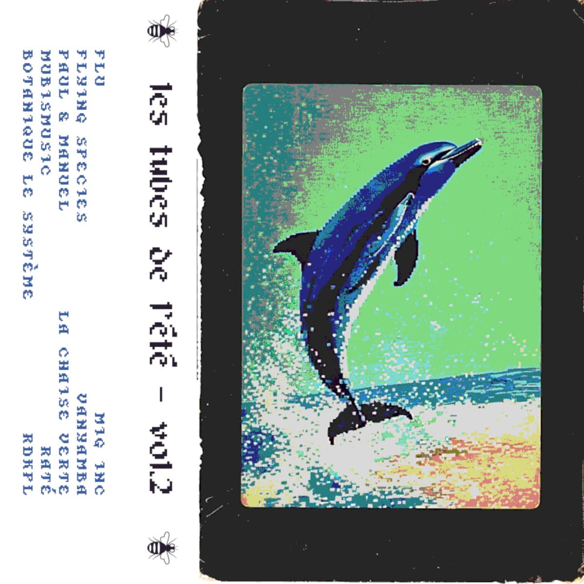 Les tubes de l'été vol.2