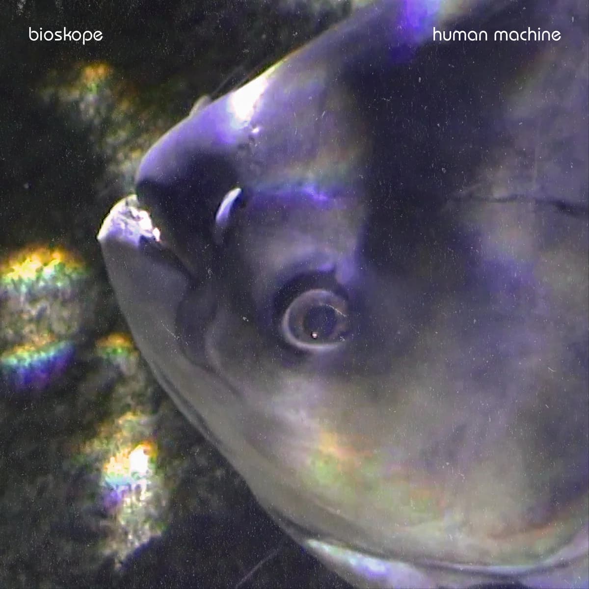 Human Machine