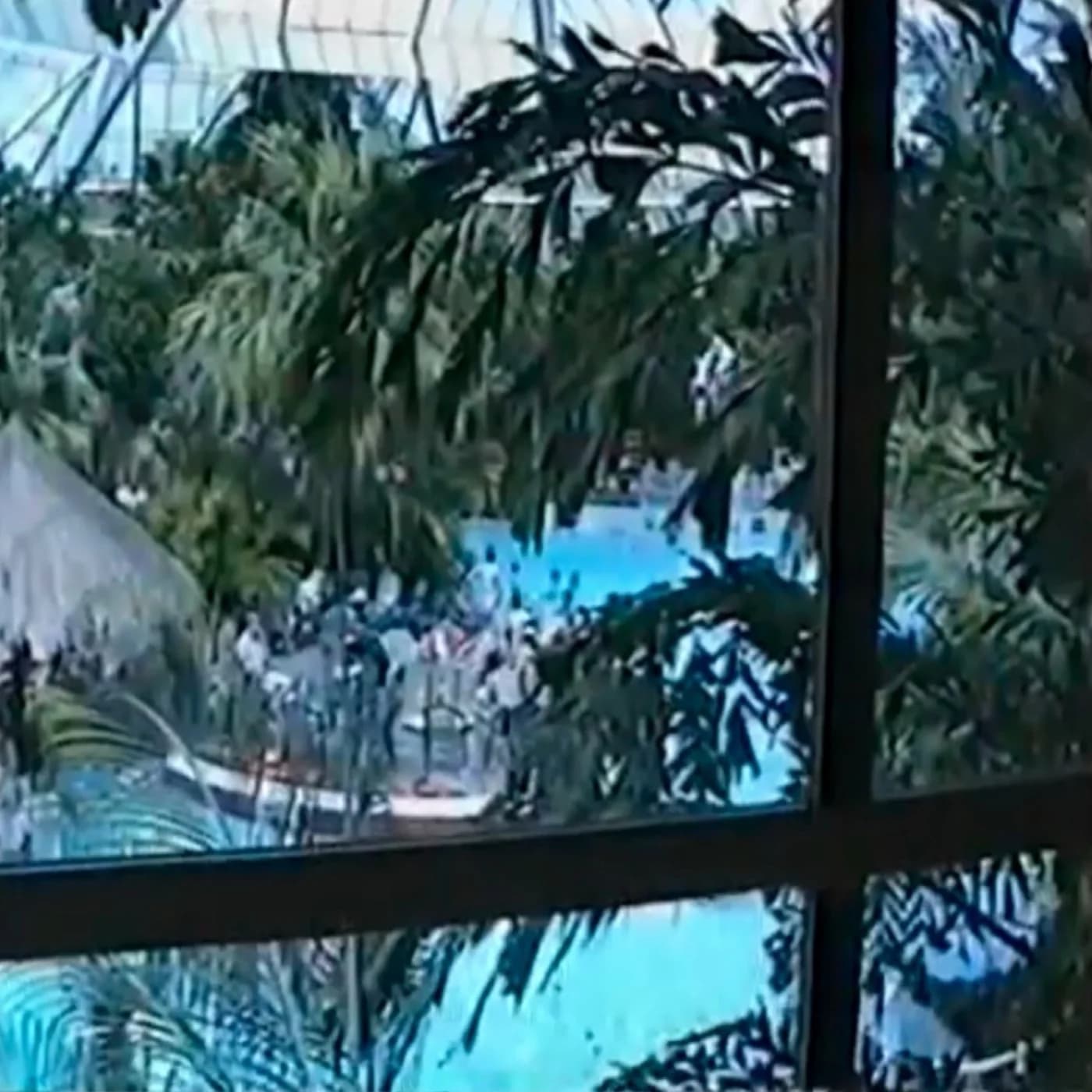 Paradise (1994-2022)