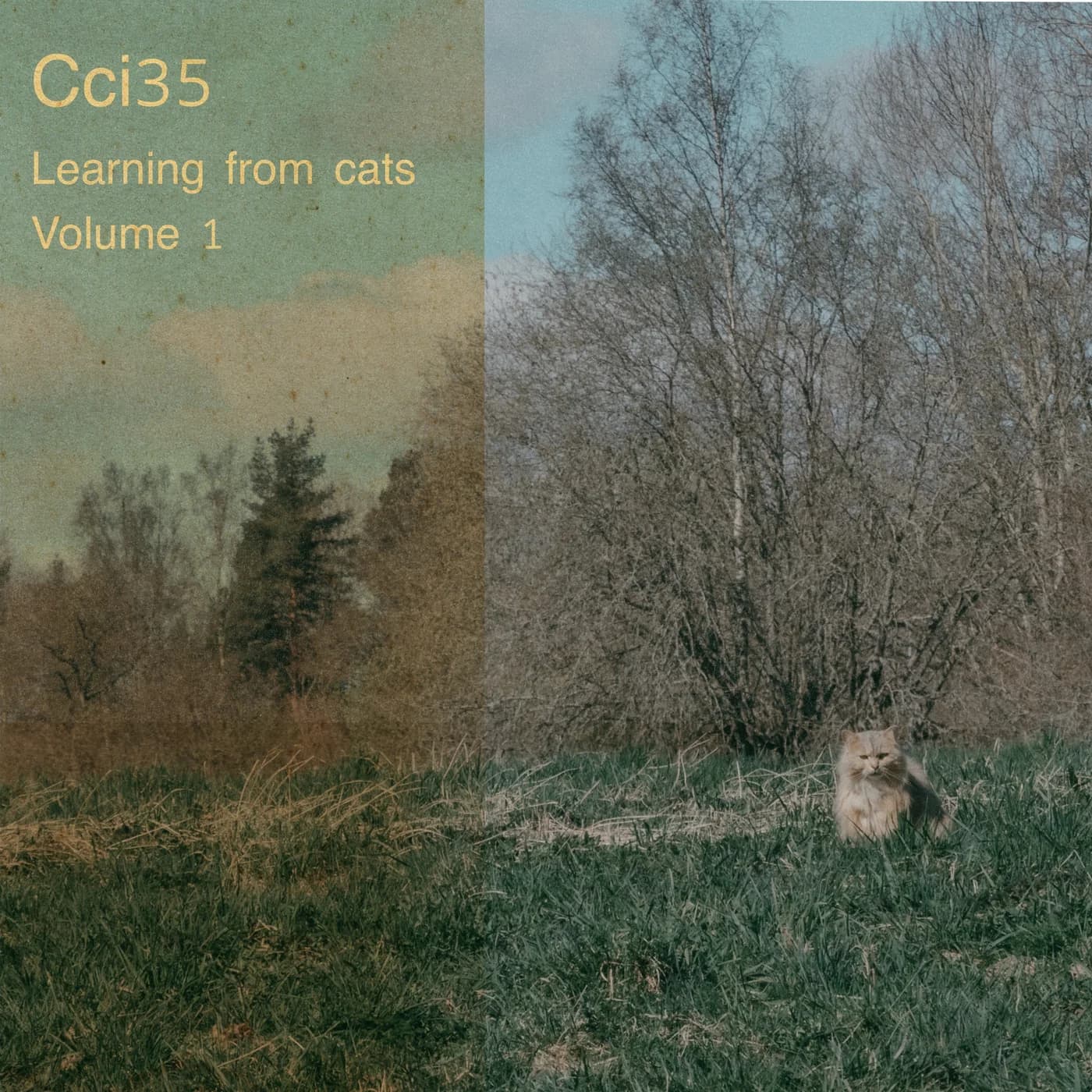 Learning from cats, Volume 1