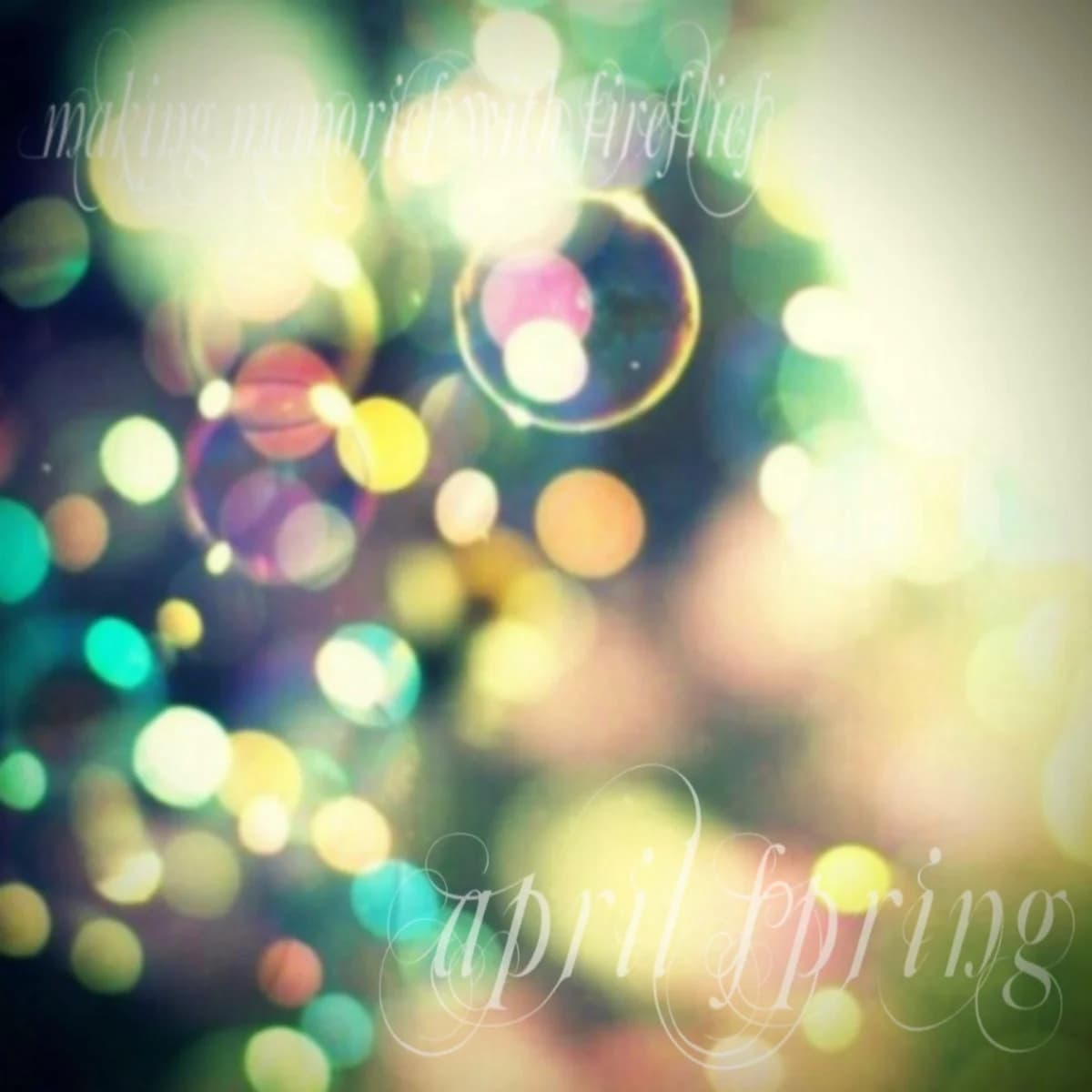 making memories with fireflies