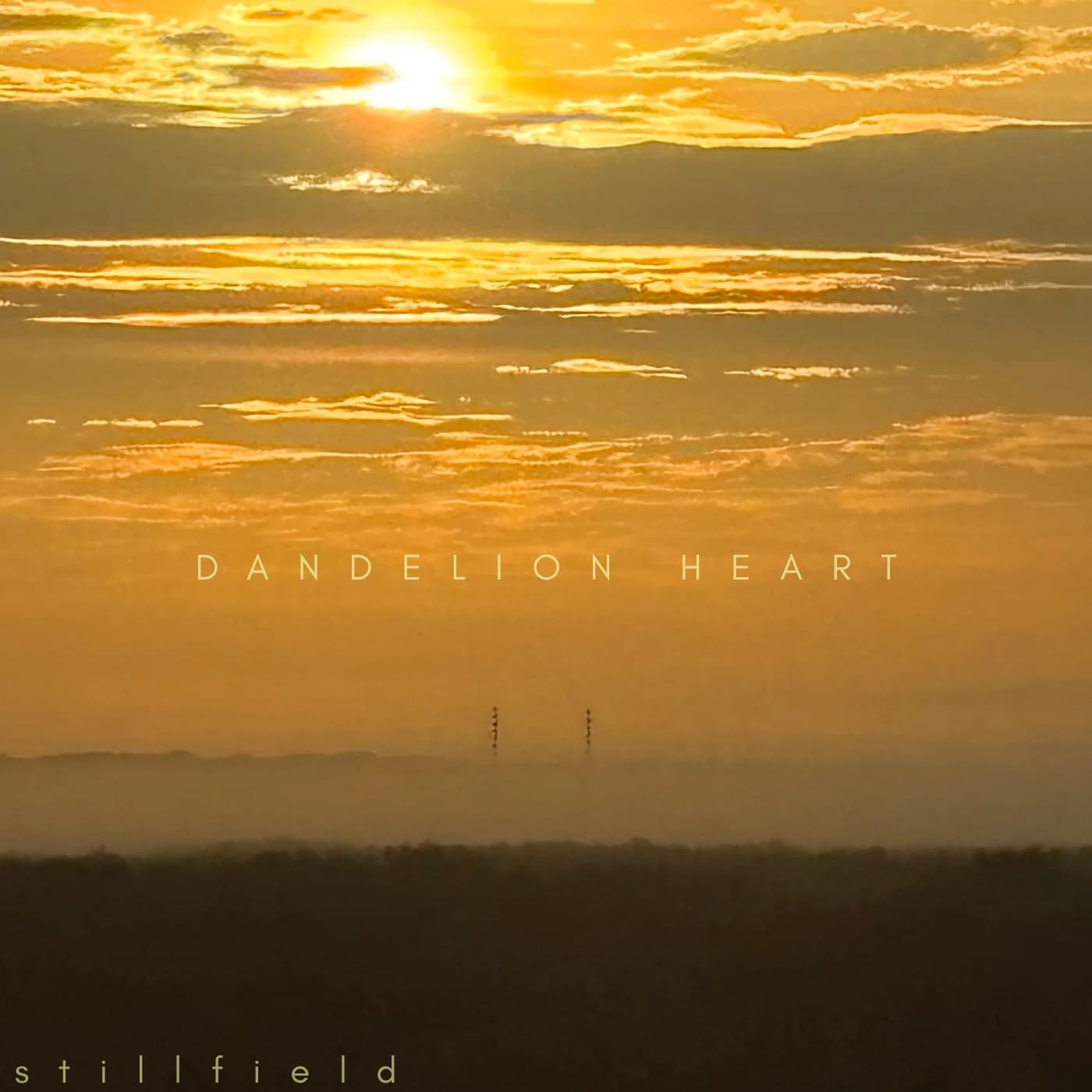 Dandelion Heart