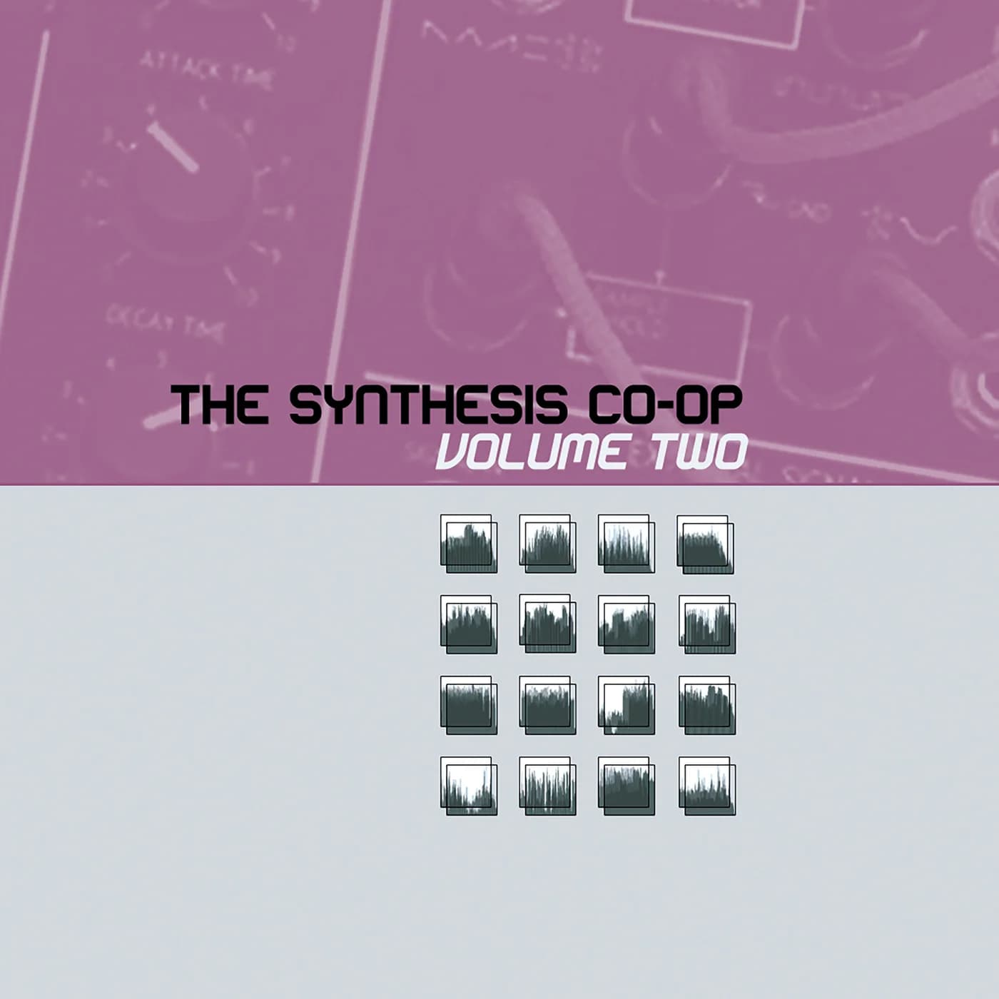 The Synthesis Co-Op Volume Two