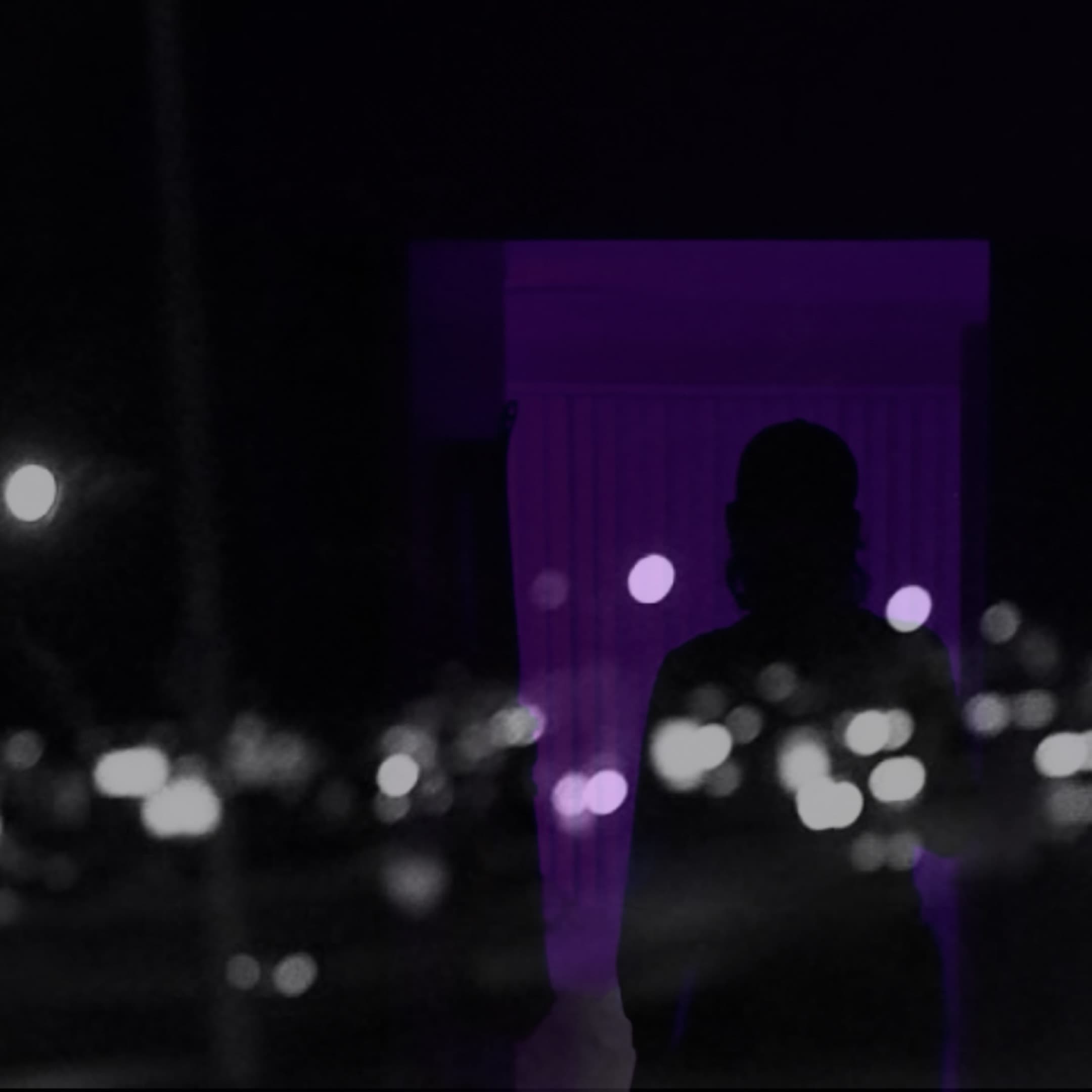 Year of the Purple Hyacinth