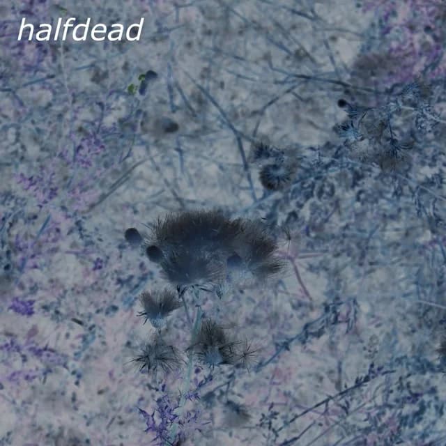 halfdead (deluxe edition)