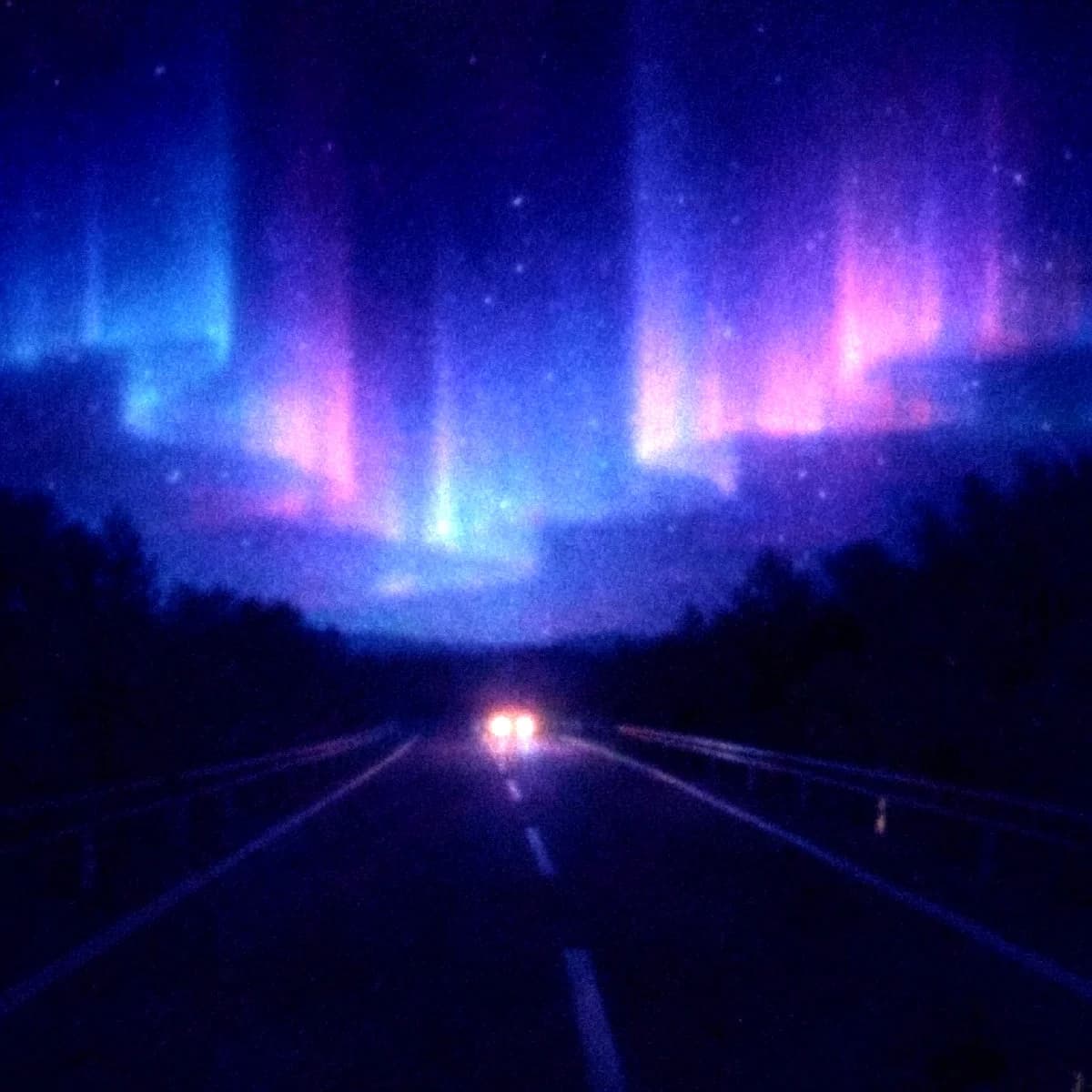 帰宅 [ R E D U X ]