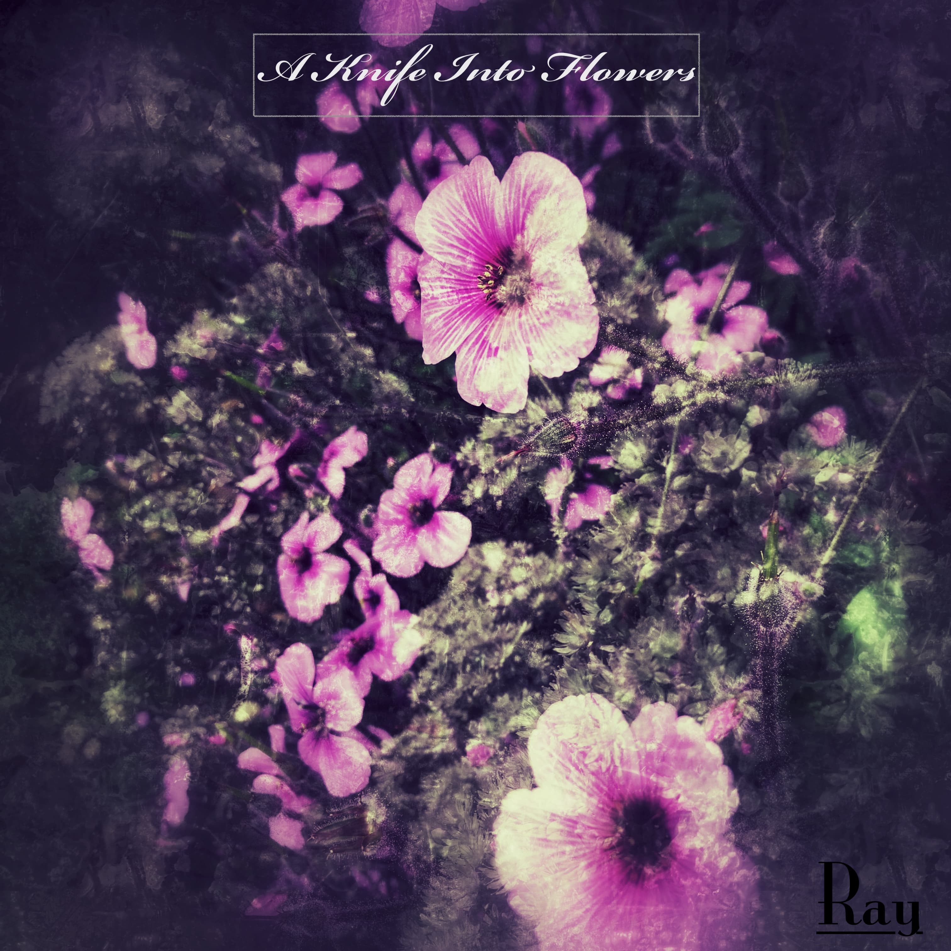 A Knife Into Flowers