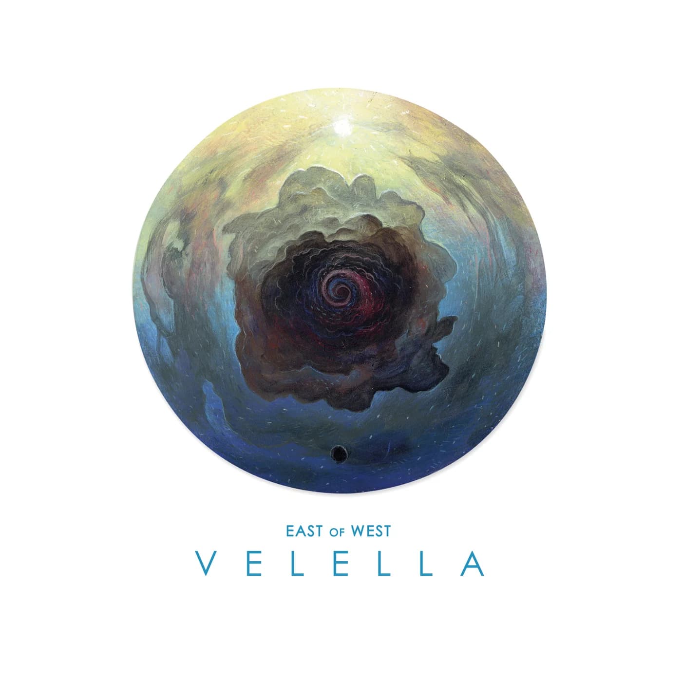 Velella
