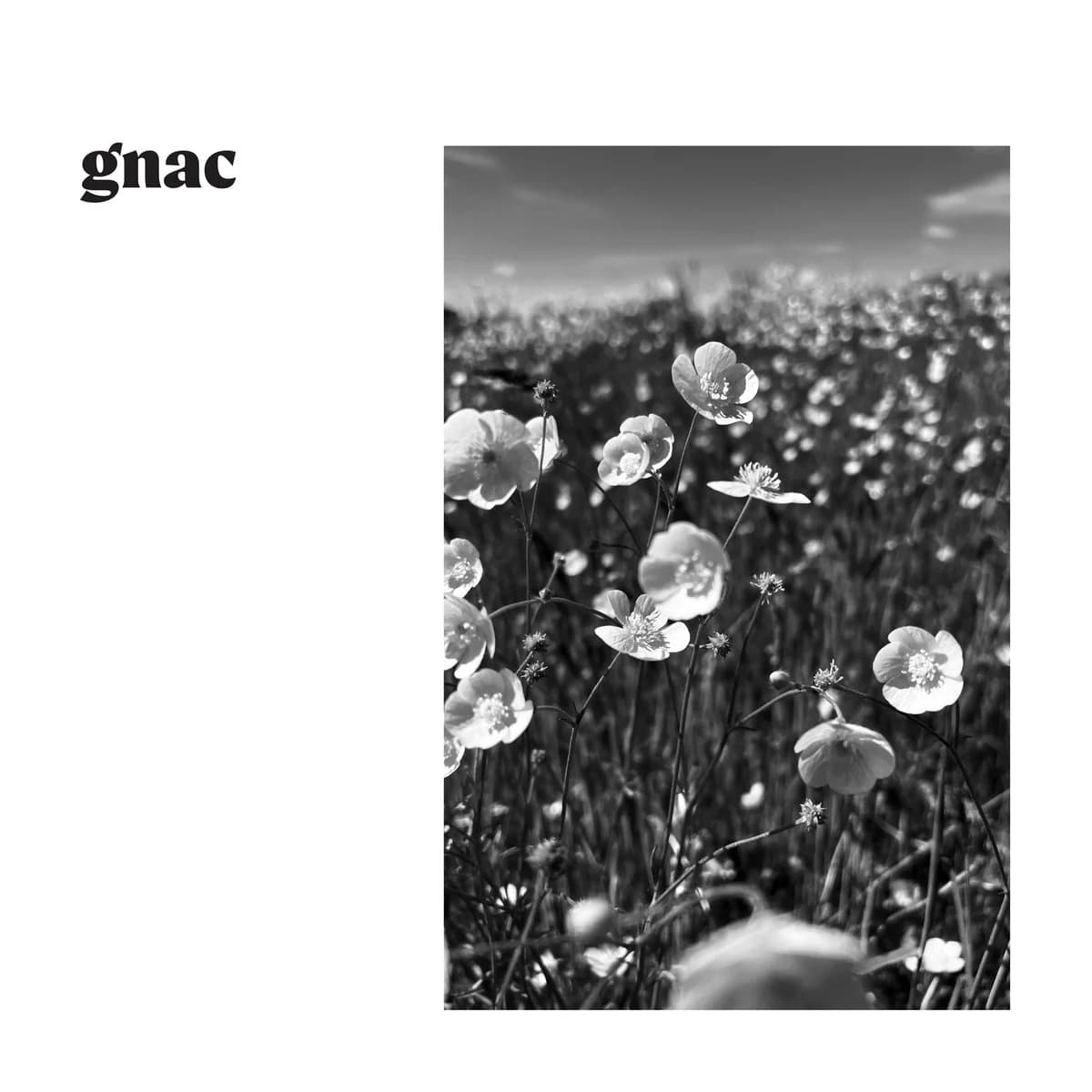 GNAC: The Whispering Of Shadows