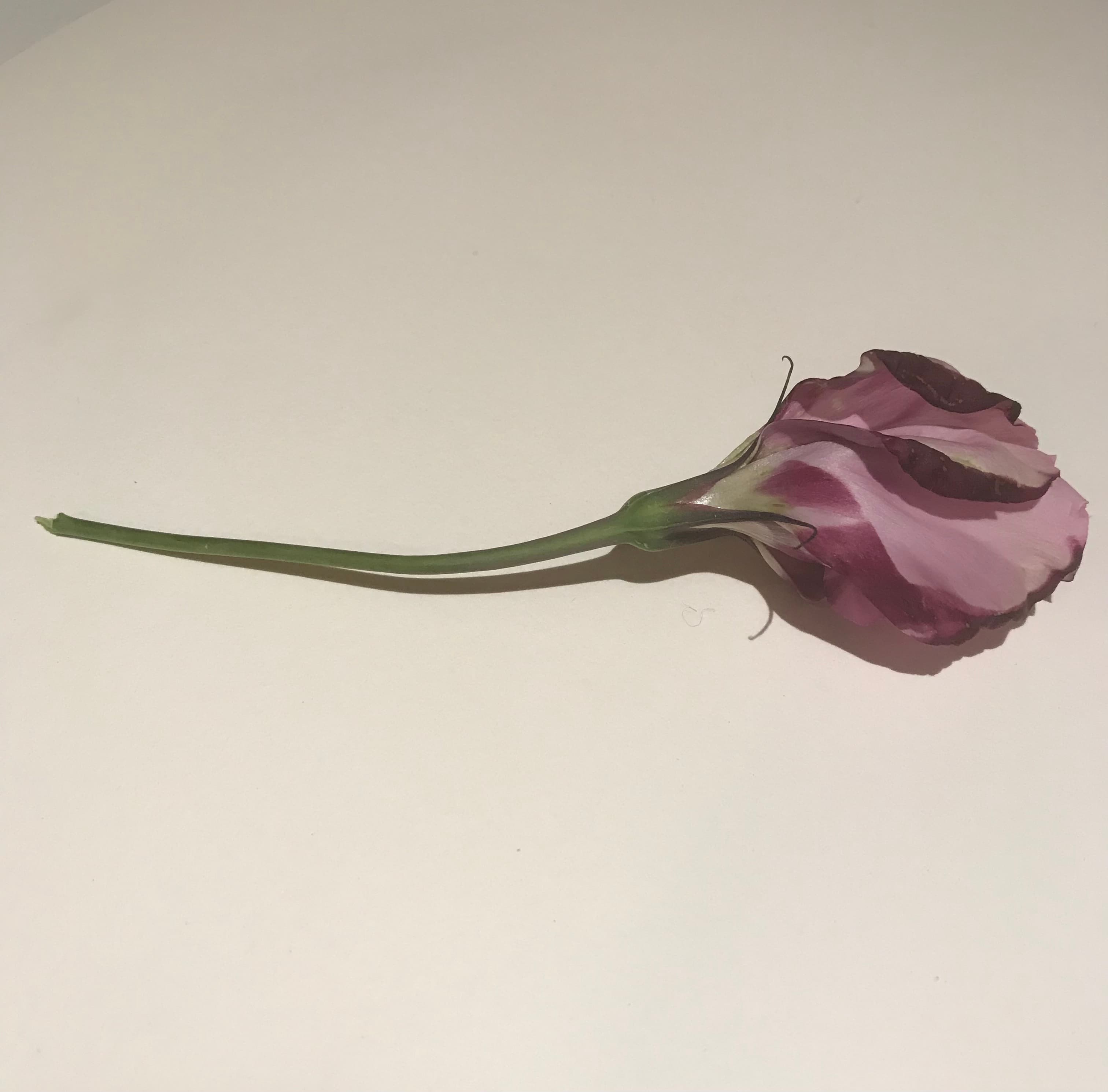 Some things of sorts