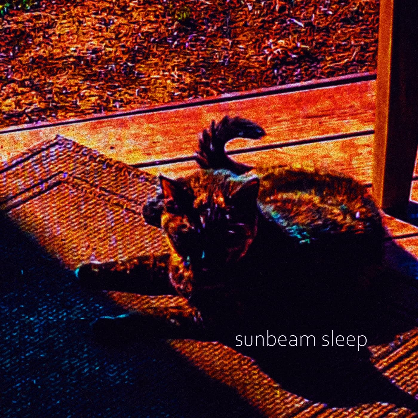 sunbeam sleep