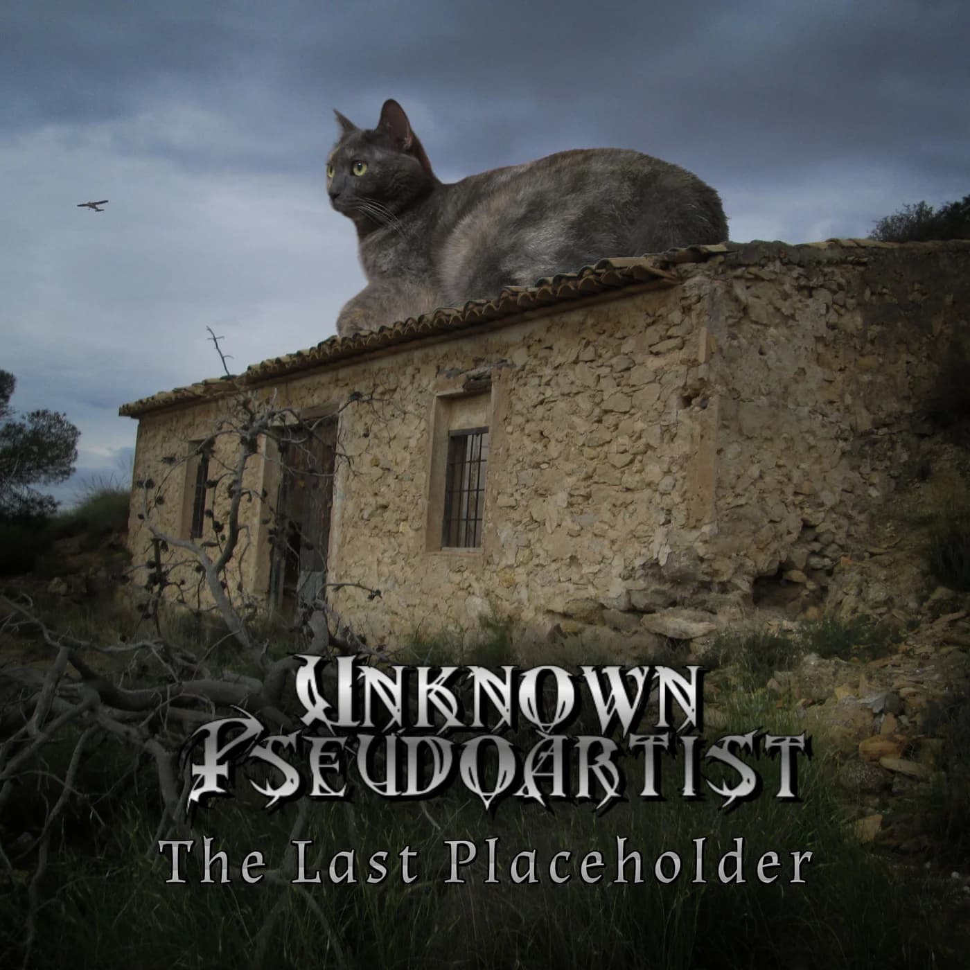The Last Placeholder