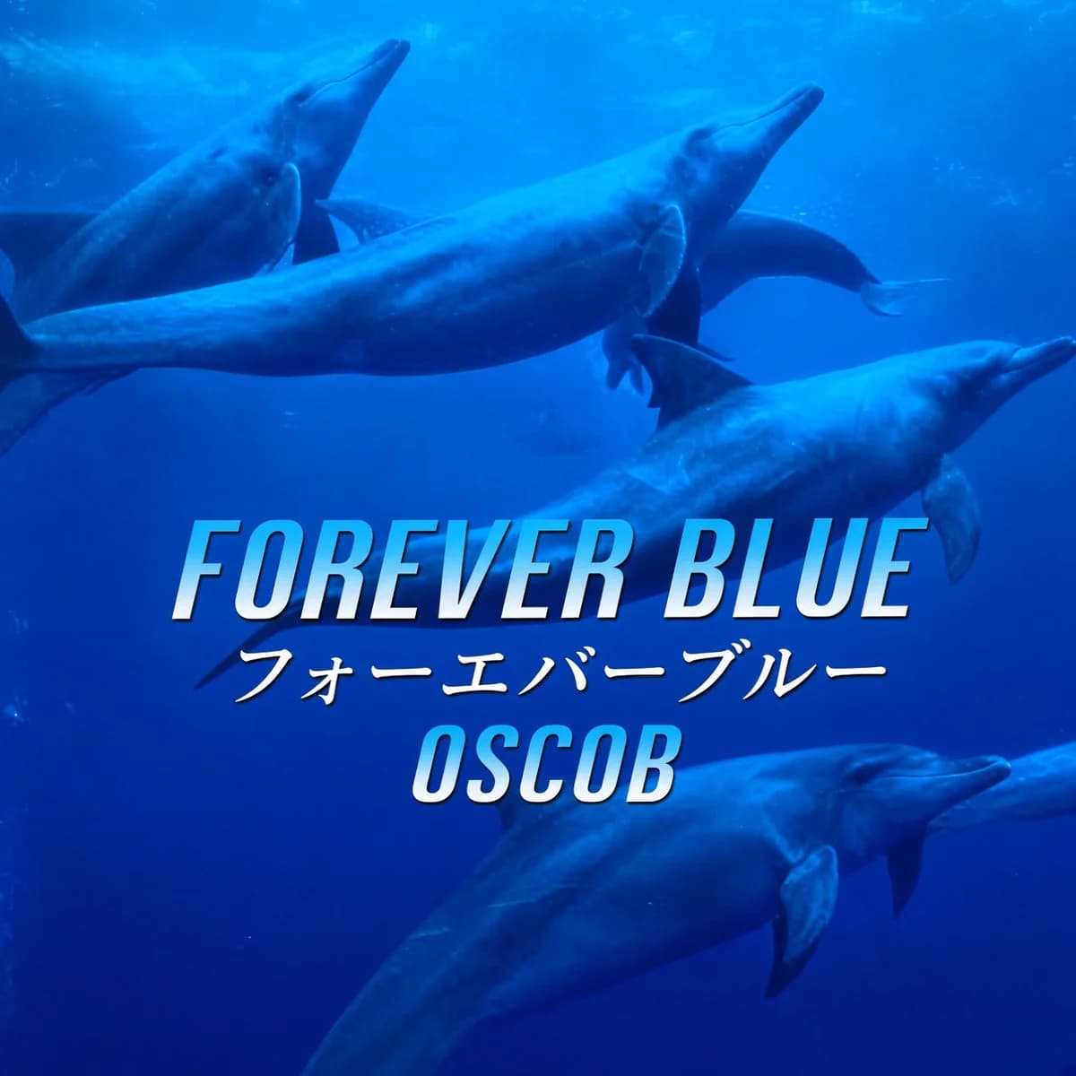 FOREVER BLUE フォーエバーブルー