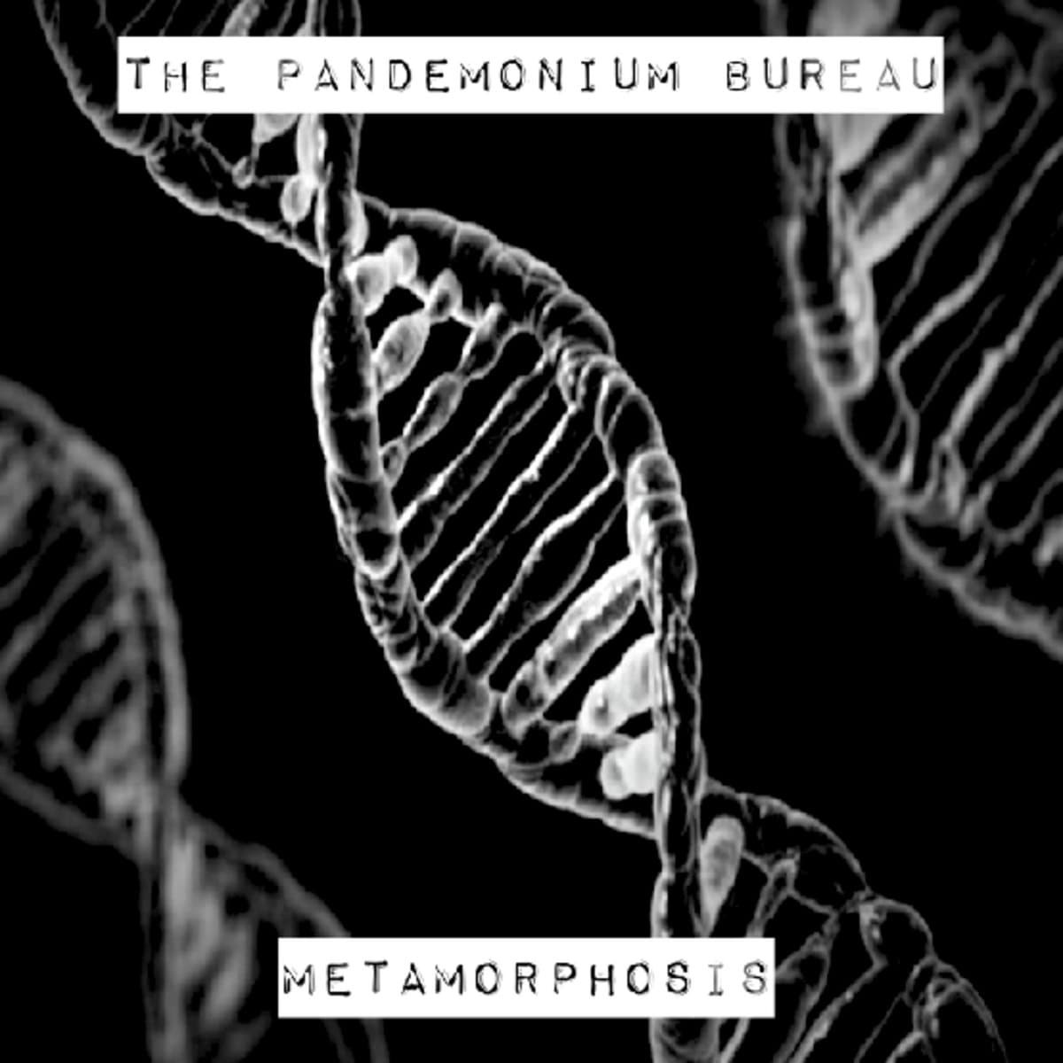 Metamorphosis