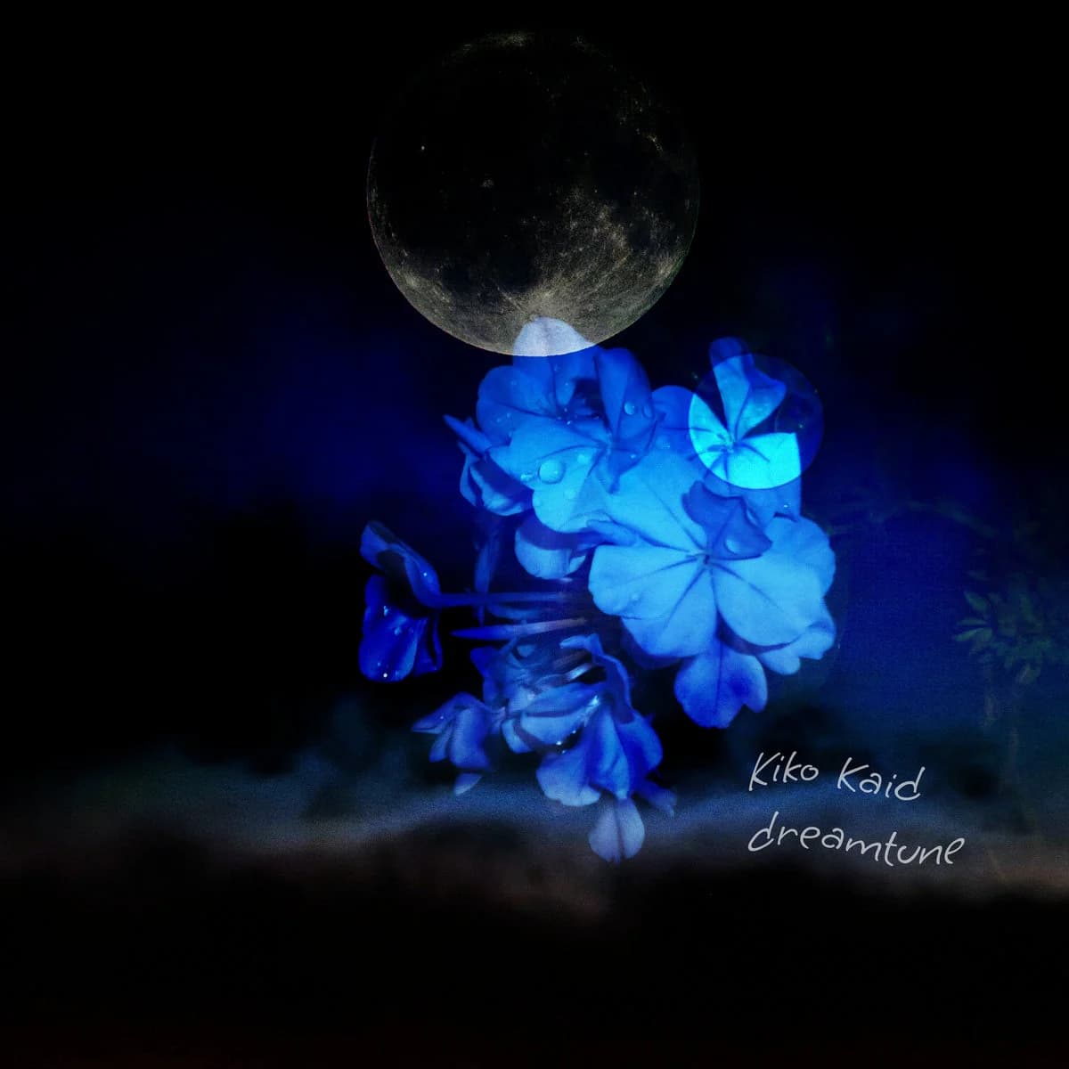 dreamtune