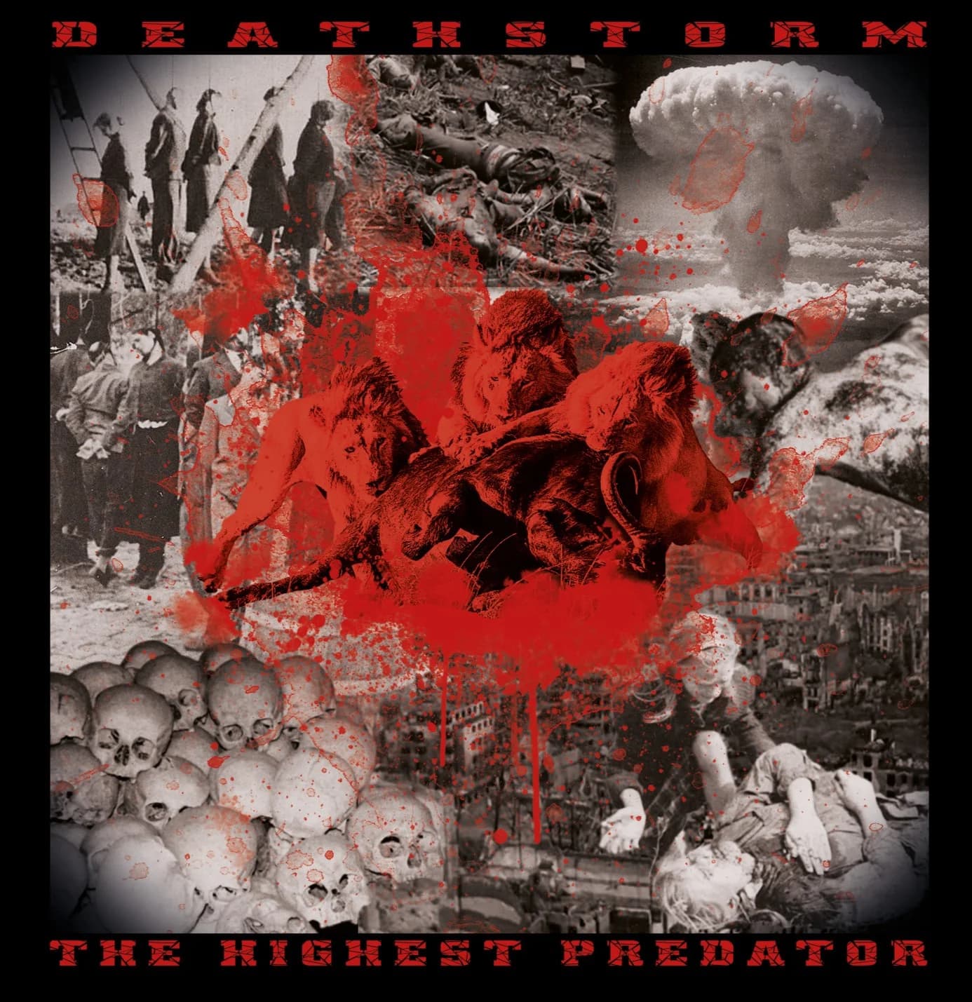The Highest Predator
