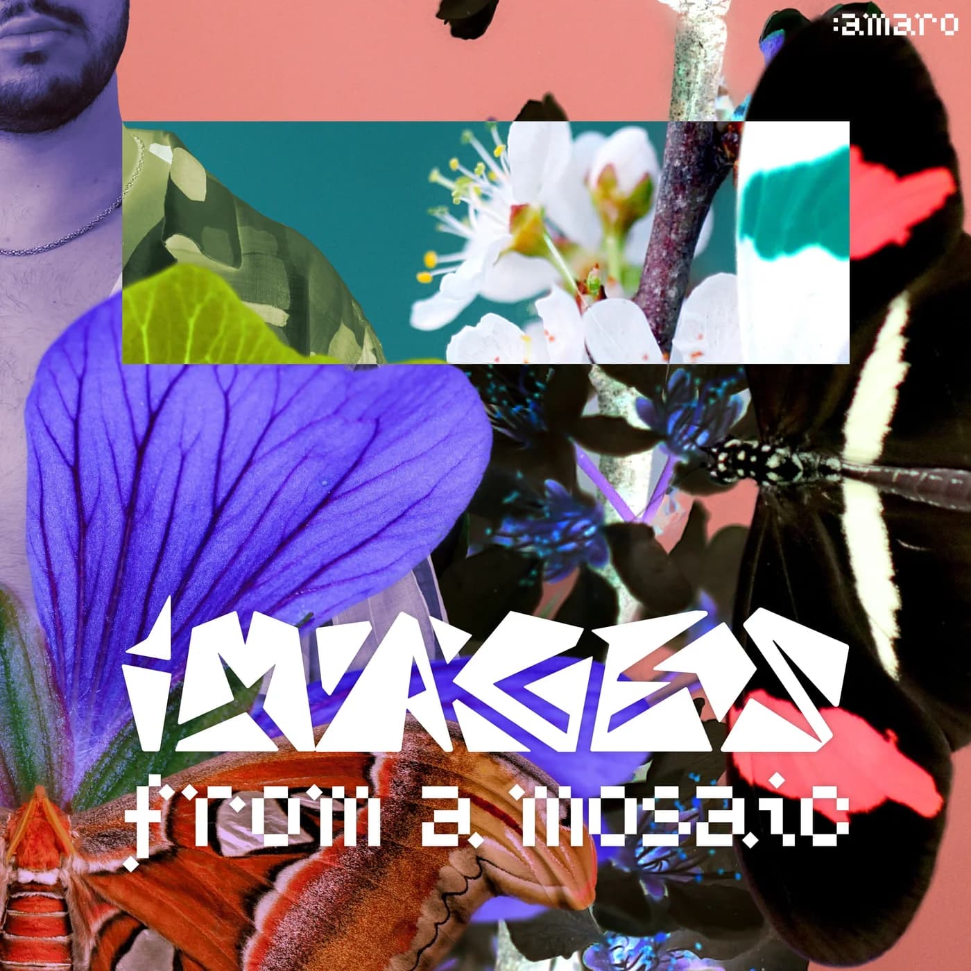 images from a mosaic