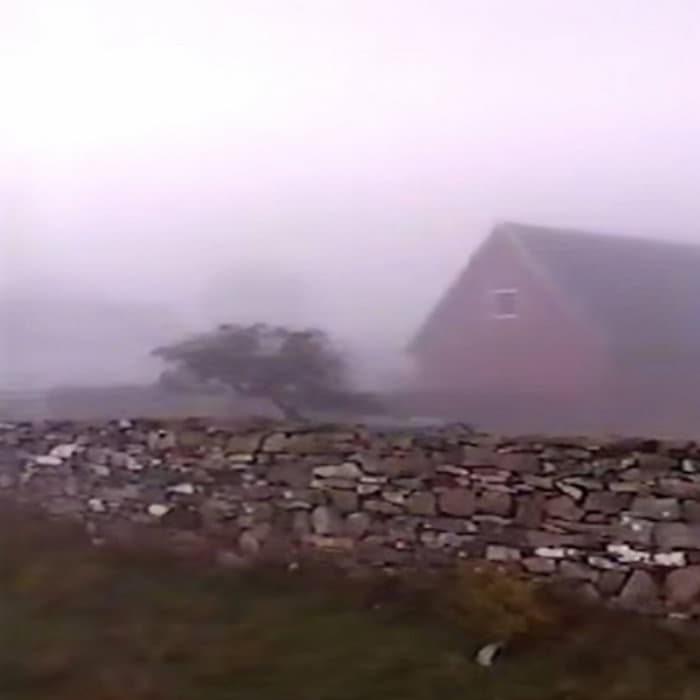 morgondimma