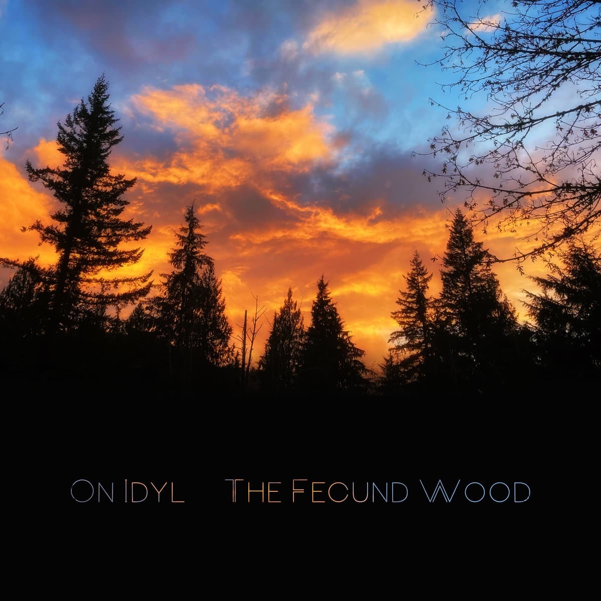The Fecund Wood