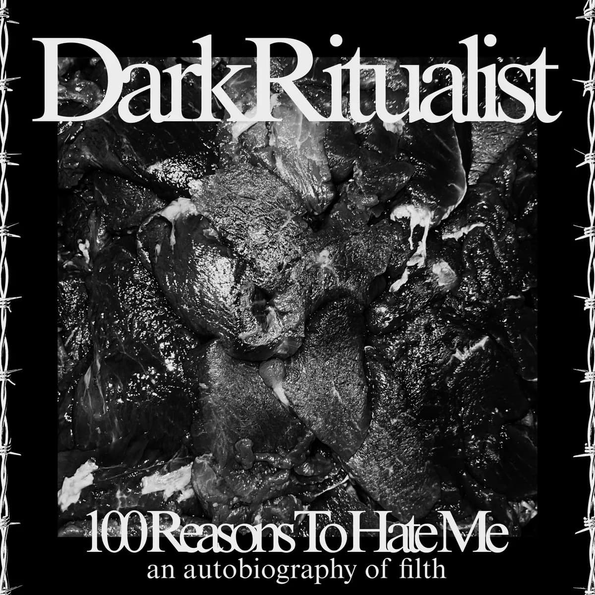 100 REASONS TO HATE ME: AN AUTOBIOGRAPHY OF FILTH