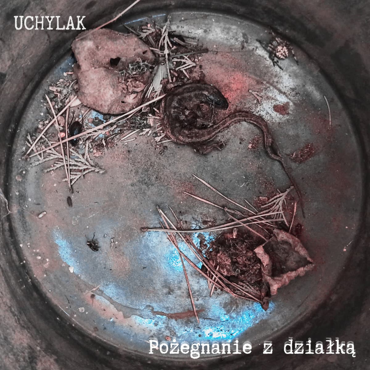 Pożegnanie z działką