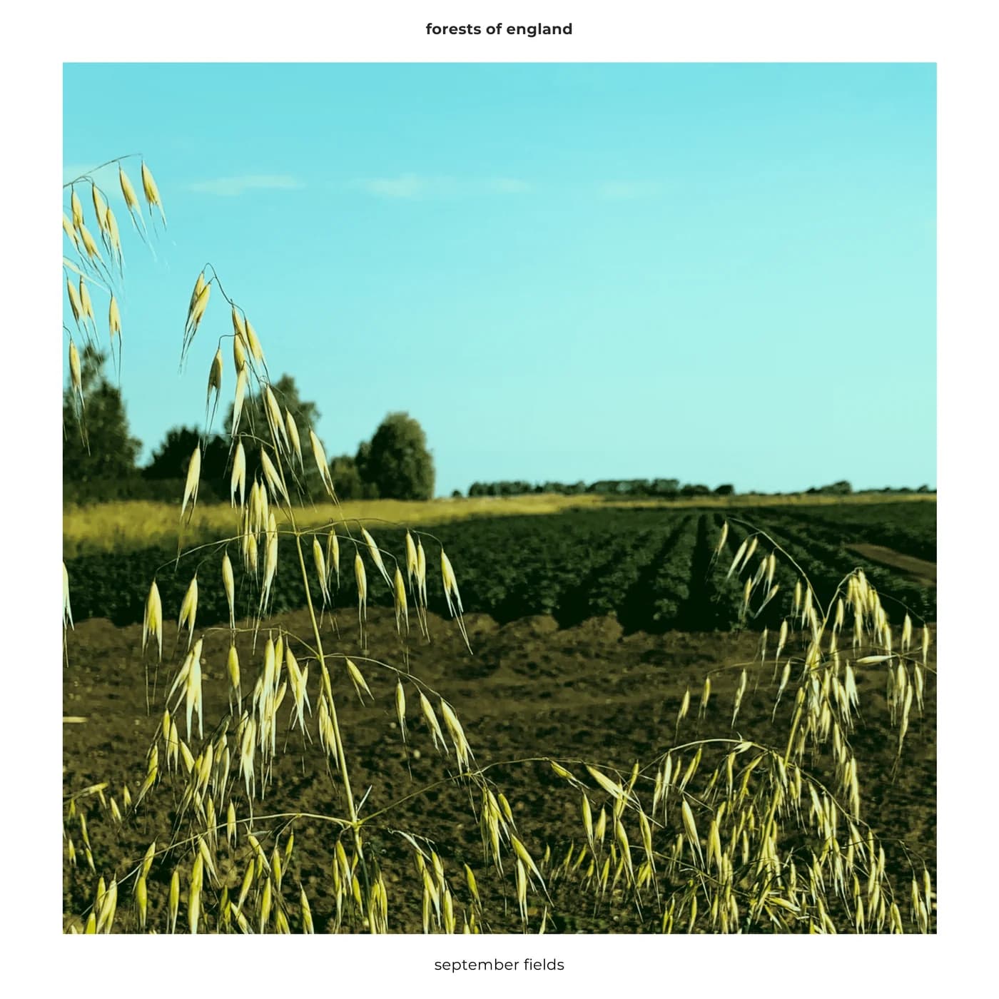 September Fields