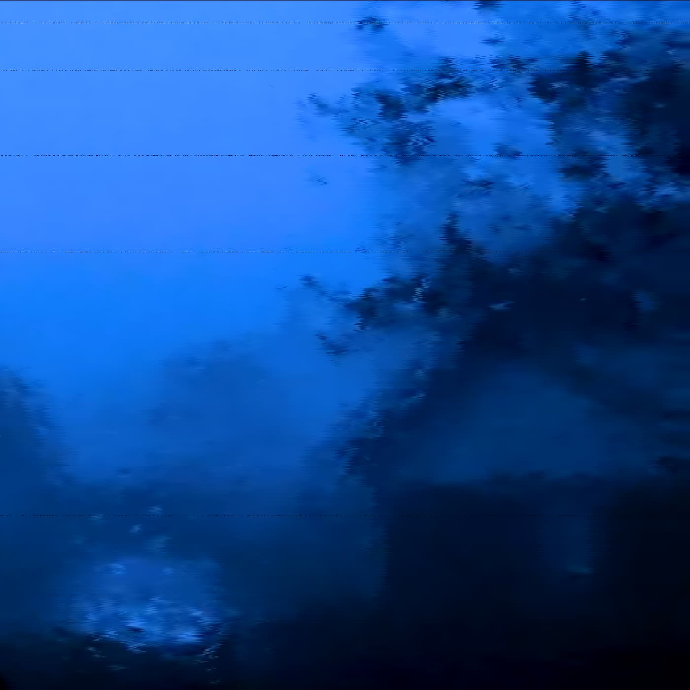 Winter Rain of Forgetfulness