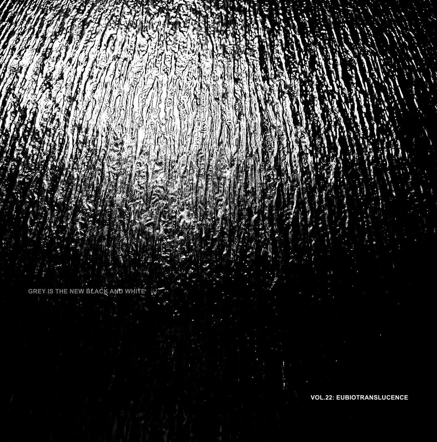 Grey Is The New Black And White - Vol. 22: Eubiotranslucence