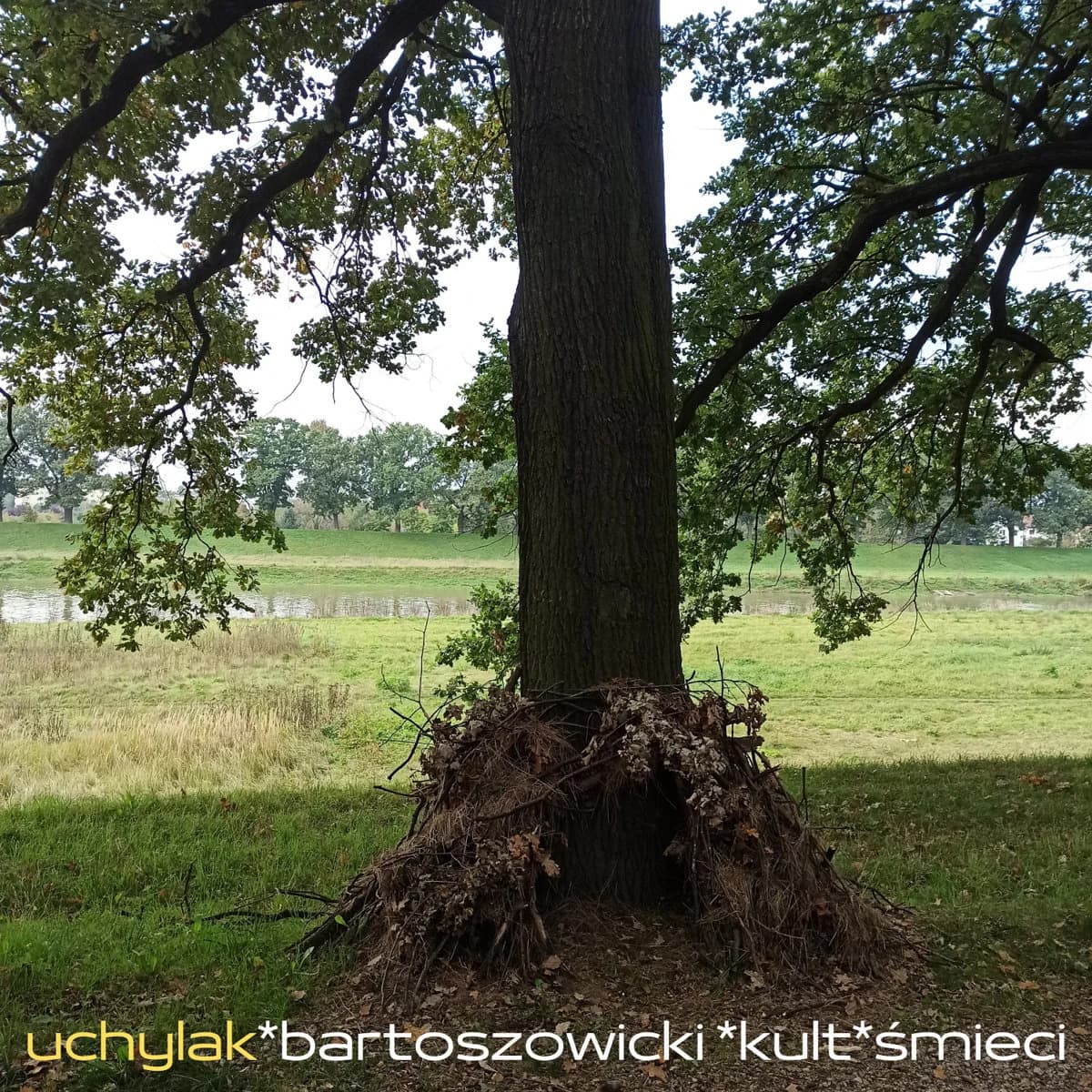 Bartoszowicki Kult Śmieci