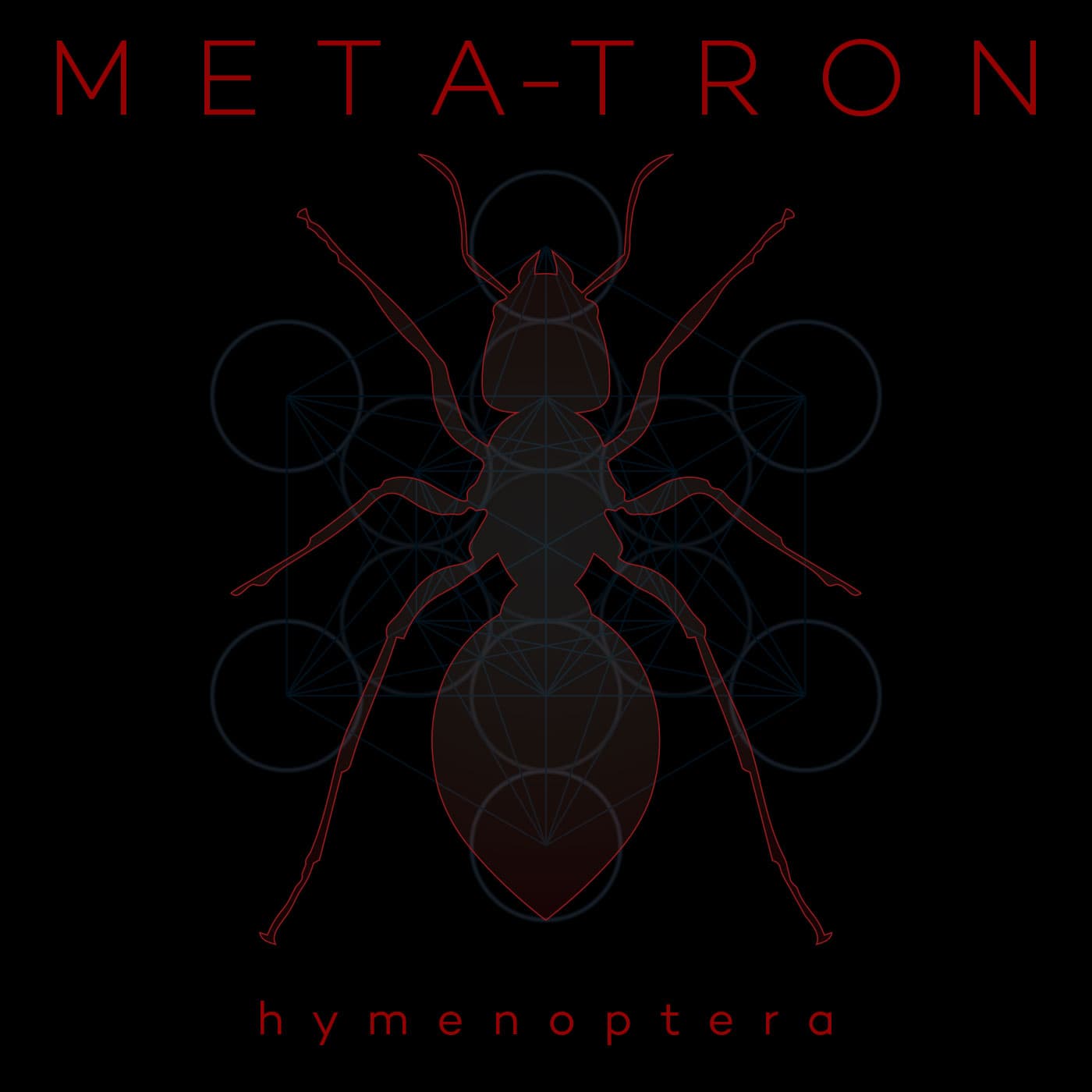 Hymenoptera