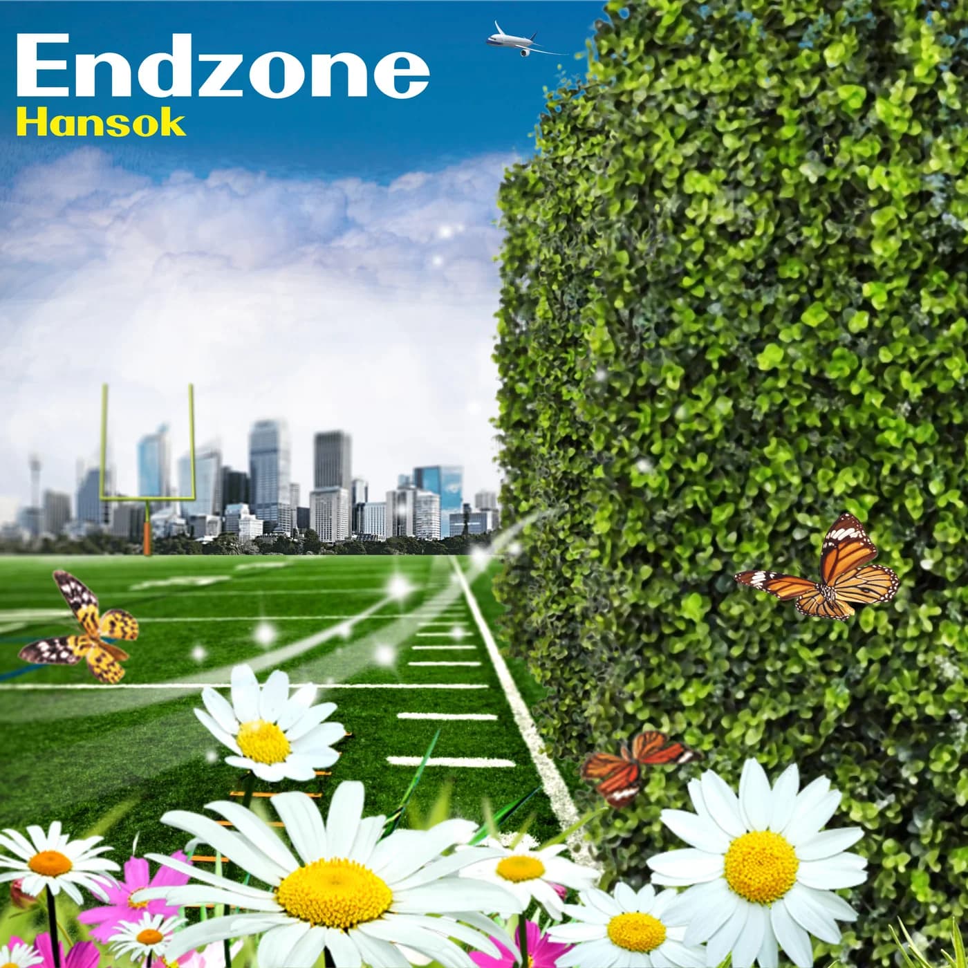Endzone