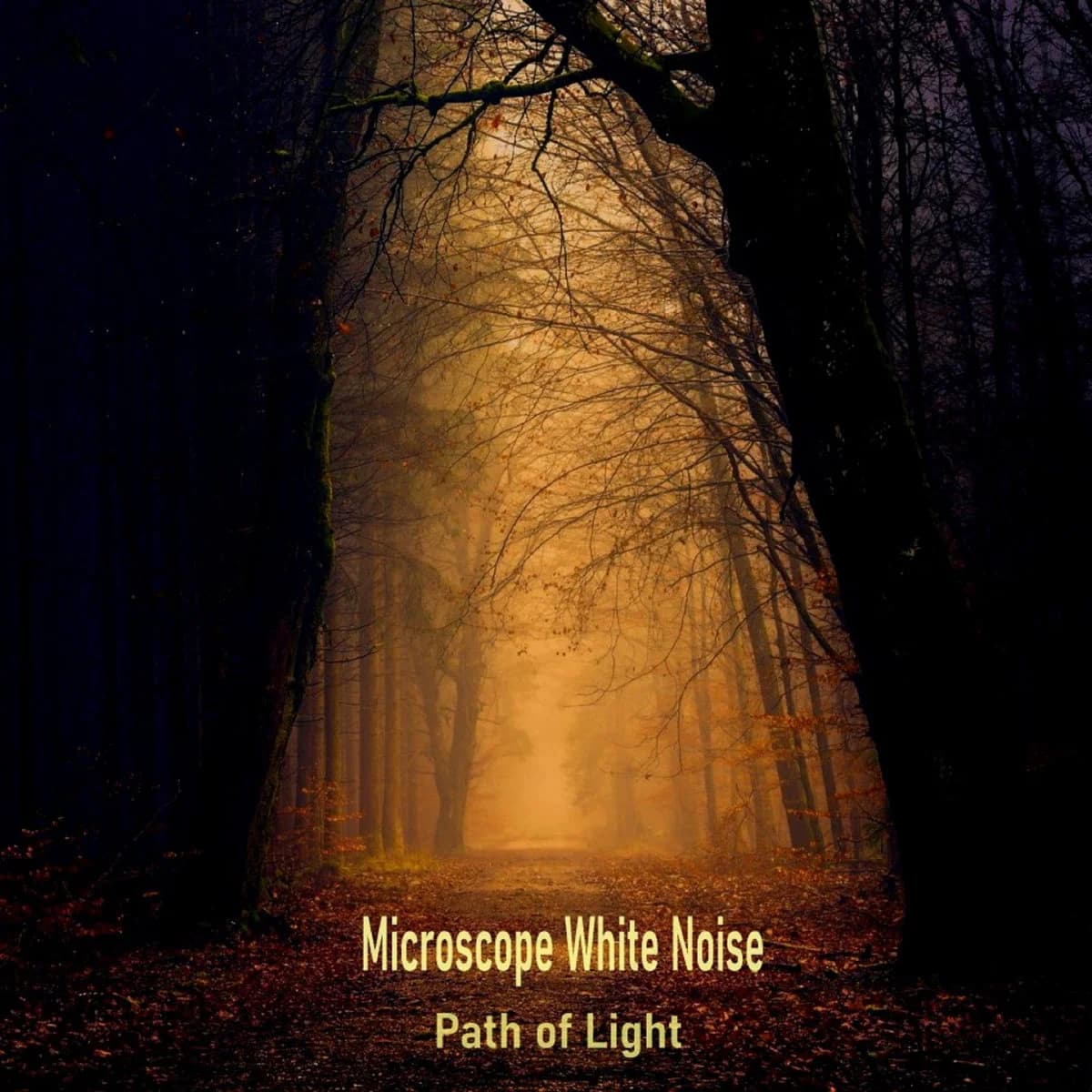 Path of Light