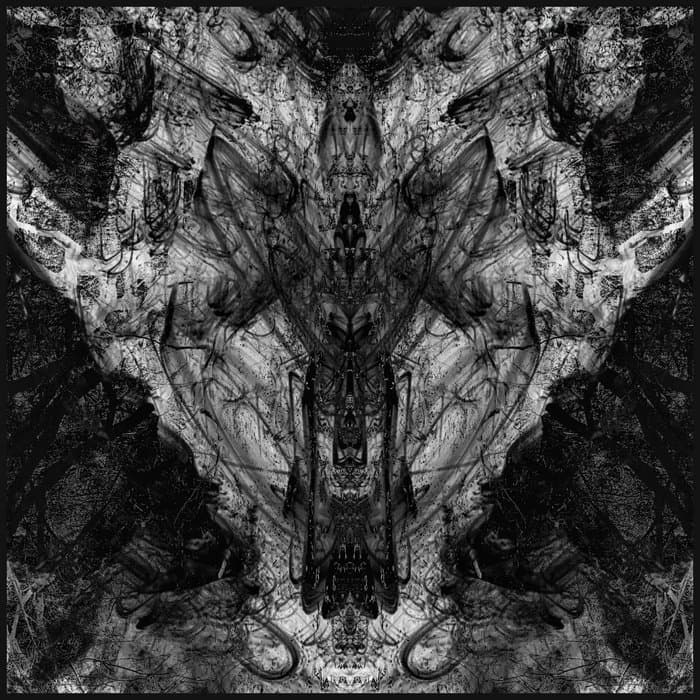 The Dimension Beyond