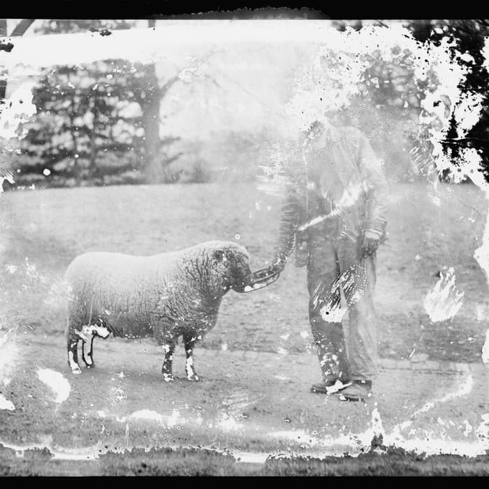 The Politics of Cultural Despair