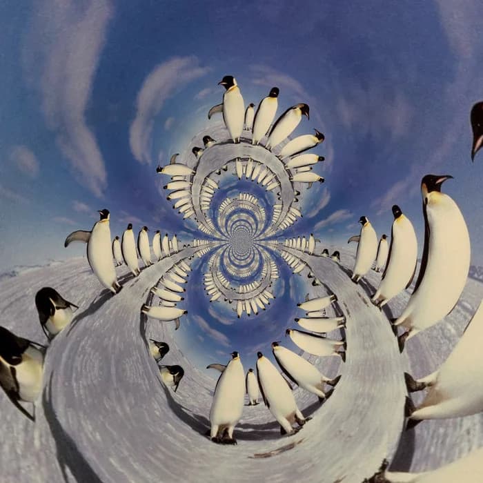 Penguins