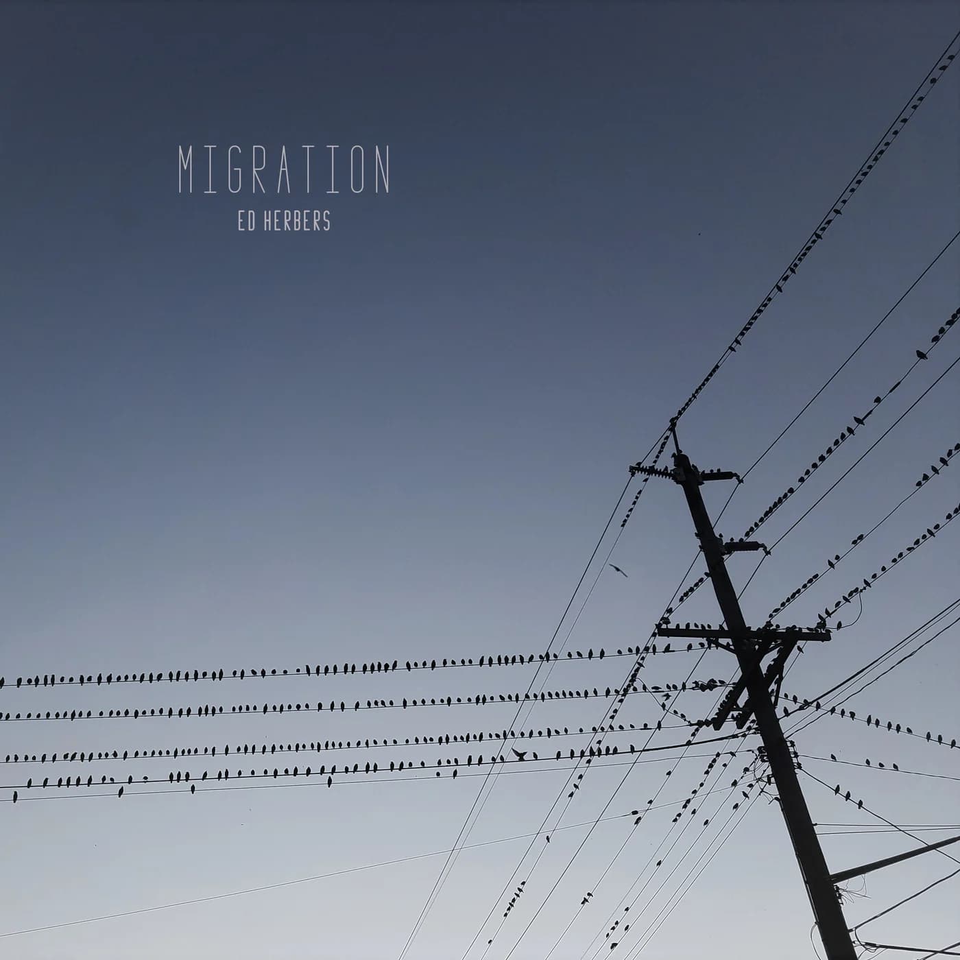 Migration