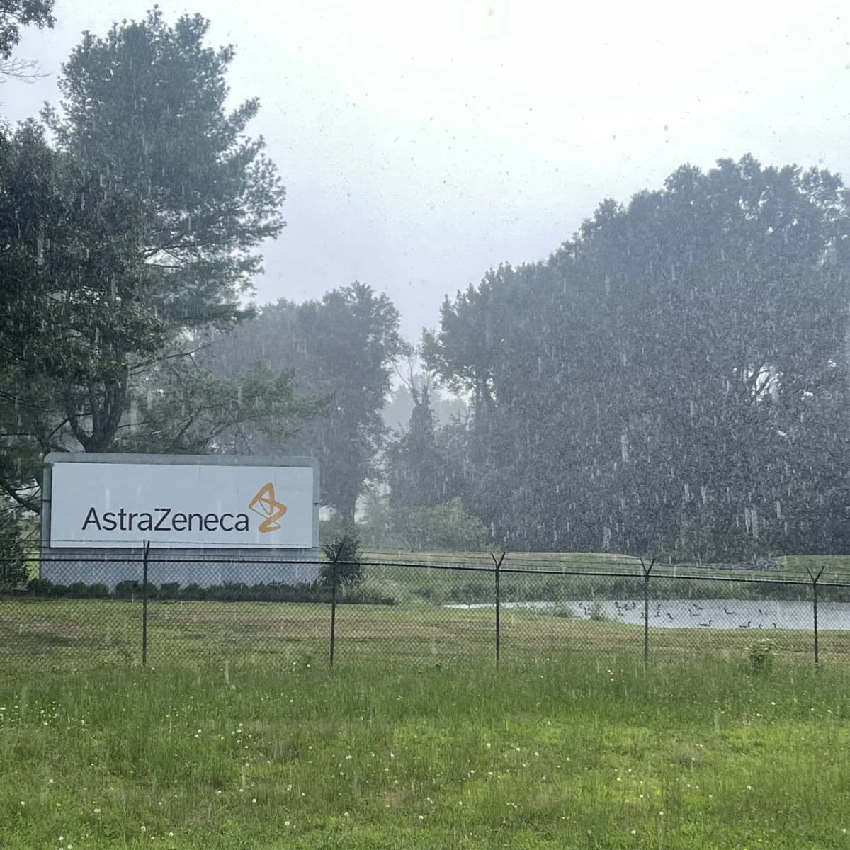 TGAAZ at AZZ